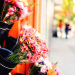 flowers at a flower shop